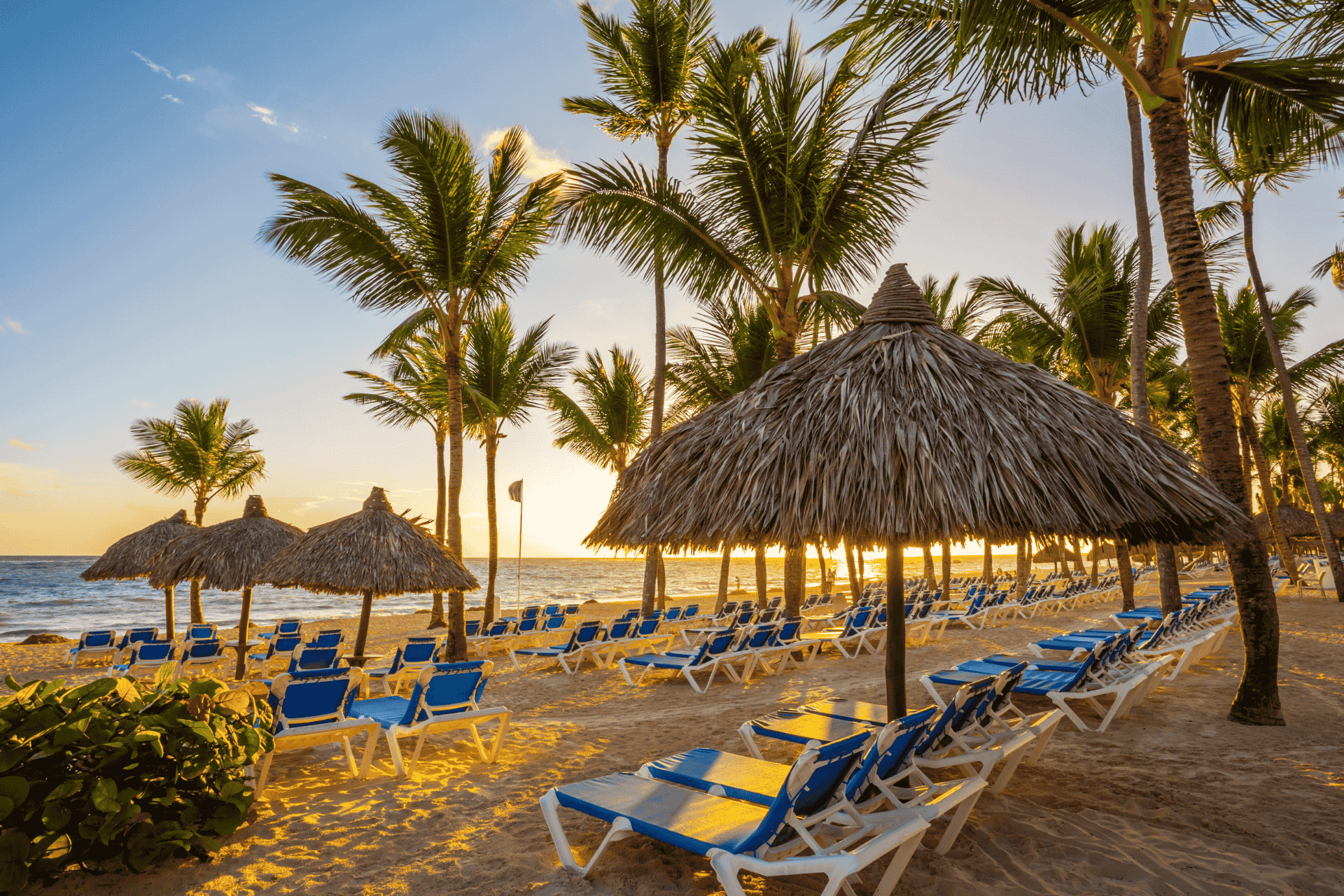 VIP SERVICES FOR Punta Cana International Airport (PUJ)